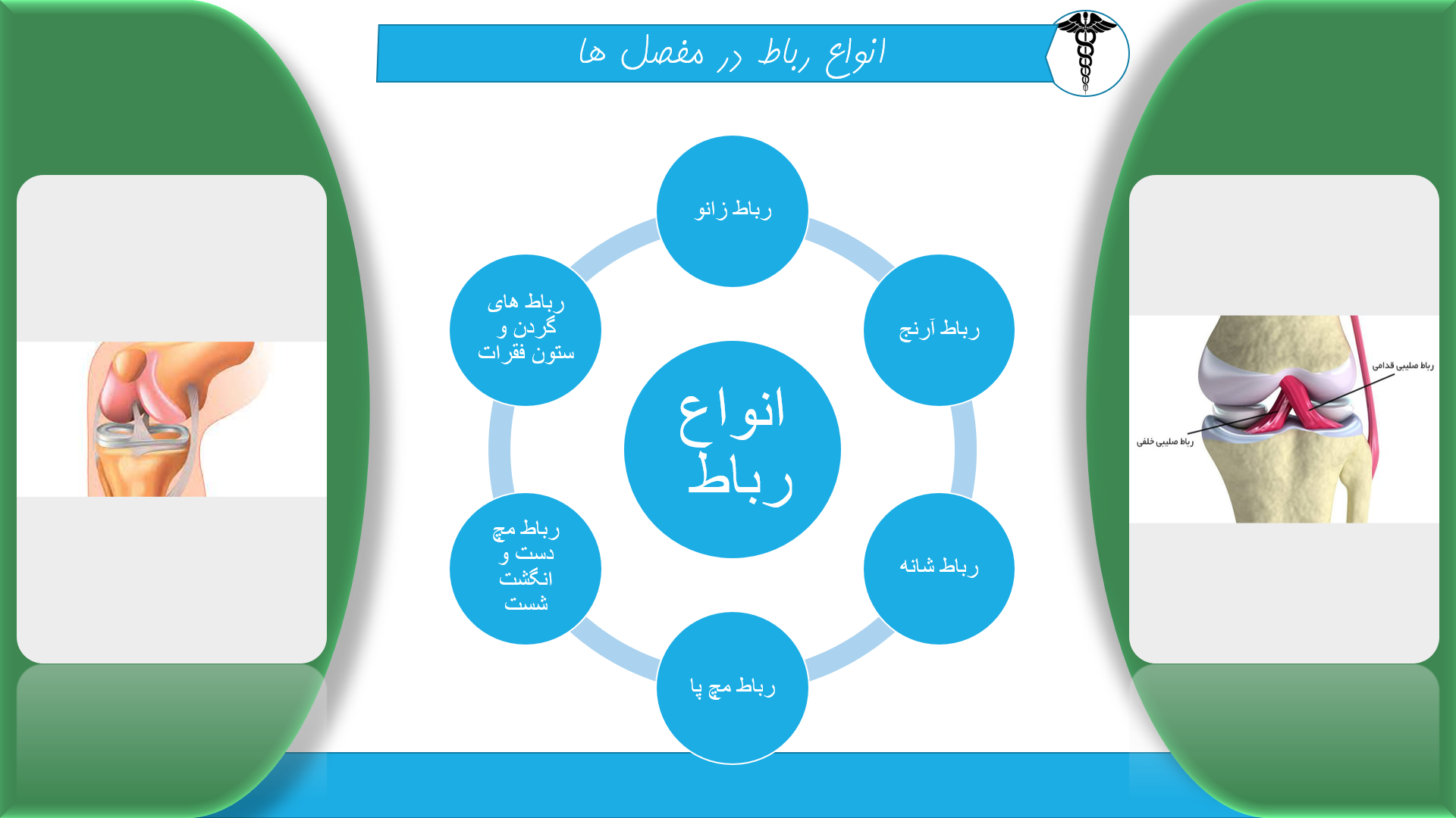 پاورپوینت انواع رباط در مفصل ها